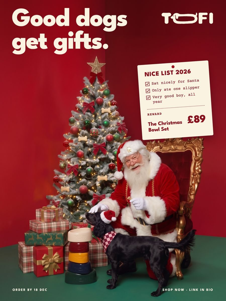 Holiday promo story example